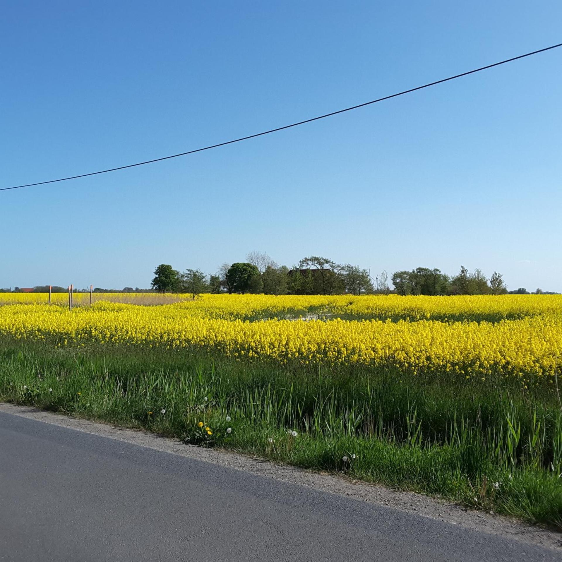 Heimat Butjadingen